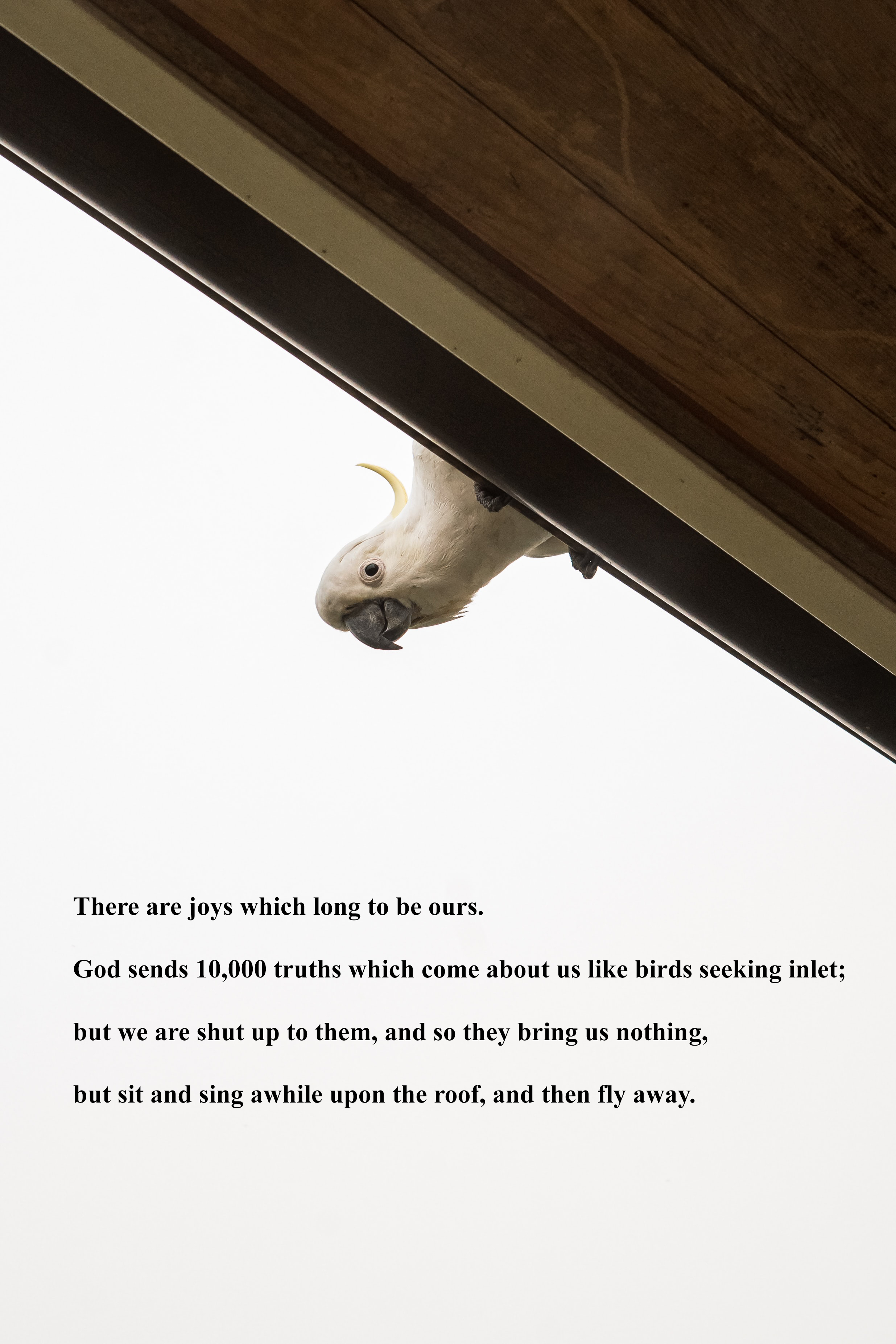 ThereAreJoys